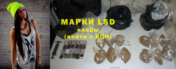 сатива Аркадак