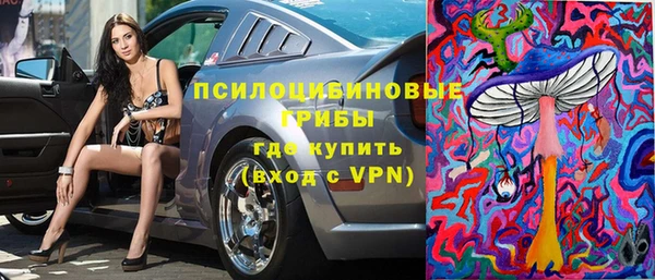 индика Арсеньев
