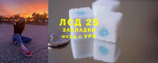 сатива Аркадак