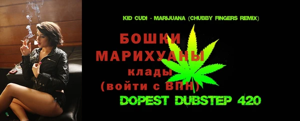 сатива Аркадак