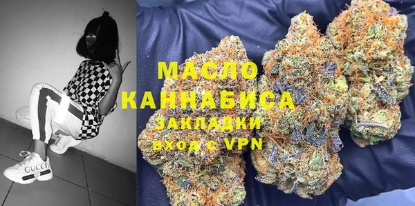 сатива Аркадак