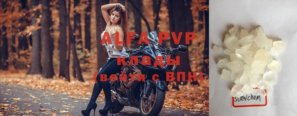 индика Арсеньев