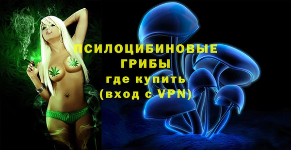 индика Арсеньев