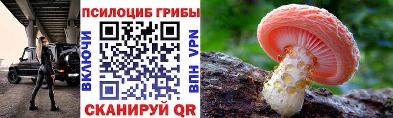 Псилоцибиновые грибы мухоморы  мега   Мирный 